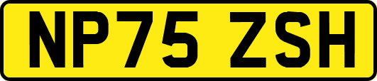 NP75ZSH