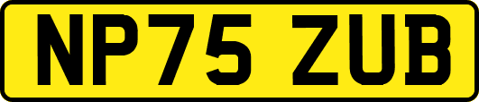 NP75ZUB