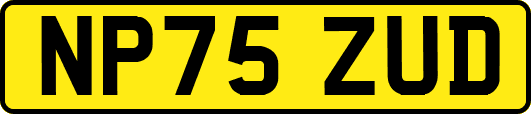 NP75ZUD