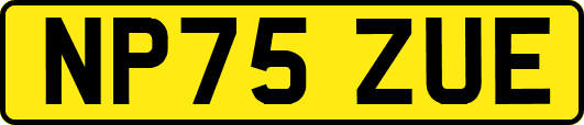 NP75ZUE