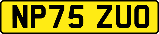 NP75ZUO