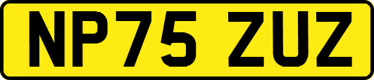 NP75ZUZ