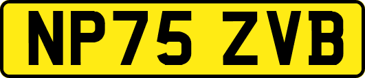 NP75ZVB