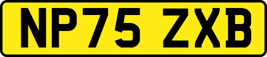 NP75ZXB
