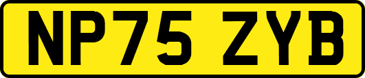 NP75ZYB