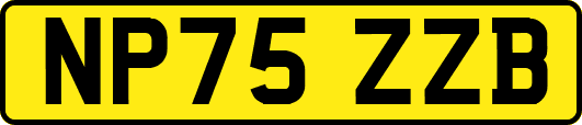 NP75ZZB