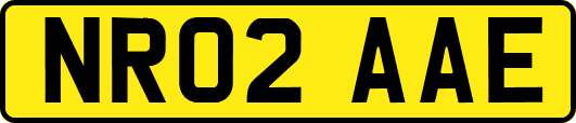 NR02AAE