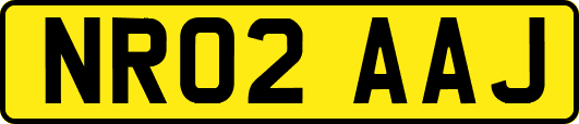NR02AAJ
