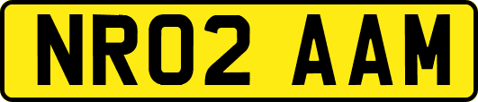 NR02AAM