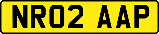 NR02AAP