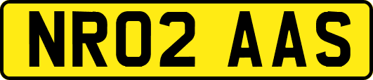 NR02AAS