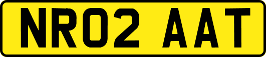 NR02AAT