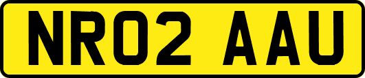 NR02AAU