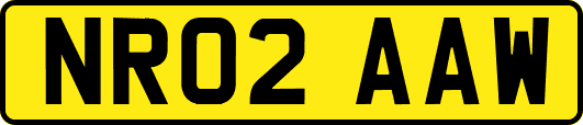 NR02AAW