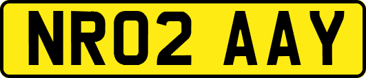 NR02AAY