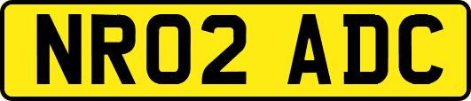 NR02ADC