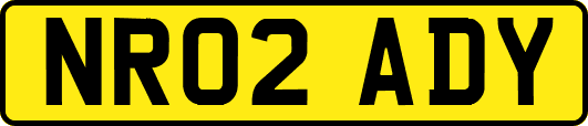 NR02ADY