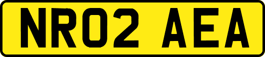 NR02AEA