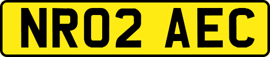 NR02AEC