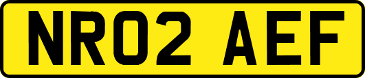NR02AEF