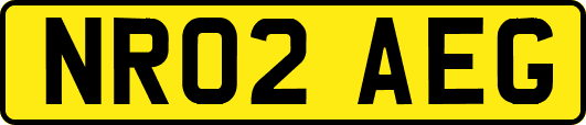 NR02AEG