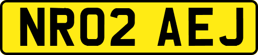 NR02AEJ
