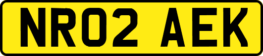 NR02AEK