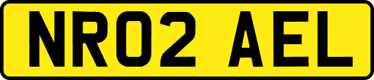 NR02AEL