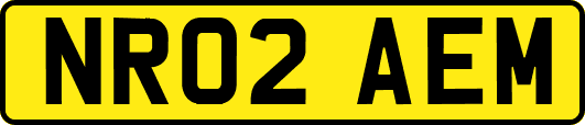 NR02AEM
