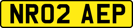 NR02AEP