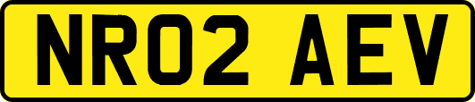 NR02AEV