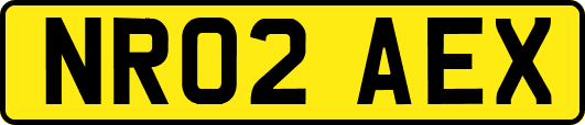 NR02AEX