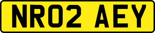 NR02AEY