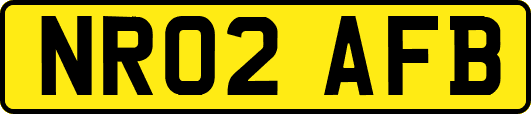 NR02AFB