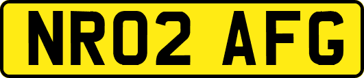 NR02AFG
