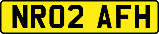 NR02AFH