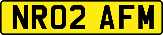 NR02AFM