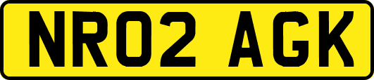 NR02AGK