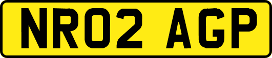 NR02AGP