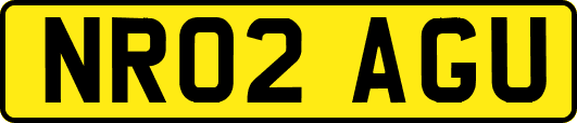 NR02AGU