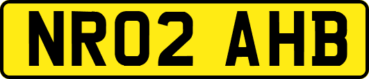 NR02AHB