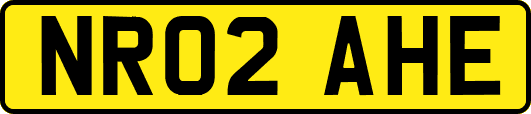 NR02AHE