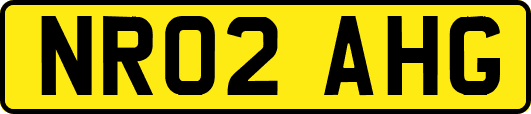 NR02AHG