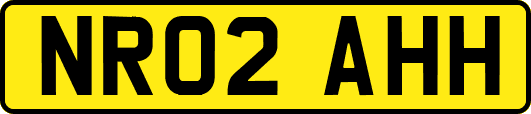 NR02AHH