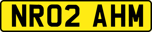 NR02AHM