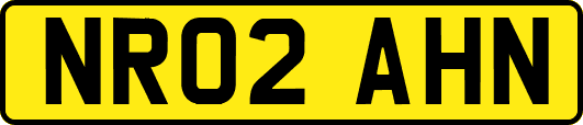 NR02AHN