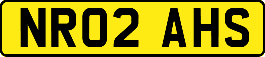NR02AHS
