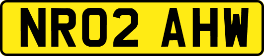 NR02AHW