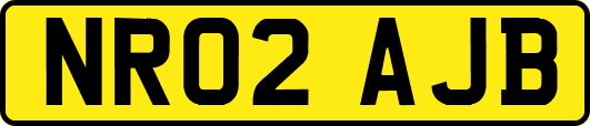 NR02AJB