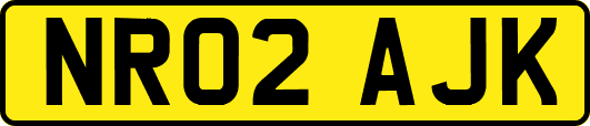 NR02AJK